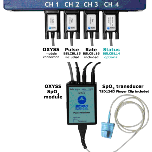Human Pulse Oximeter (SpO2) System
