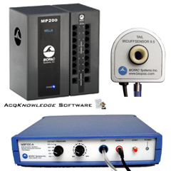 MP200 System + NIBP amp with tail cuff sensor and restrainer