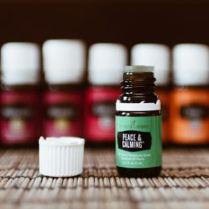 Scent Delivery System (1-8)