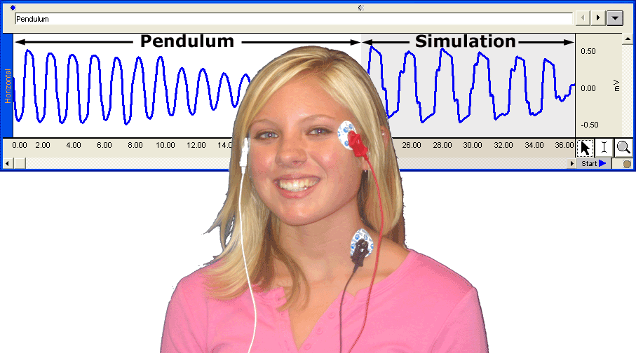 EOG Practical Lab for eye movement