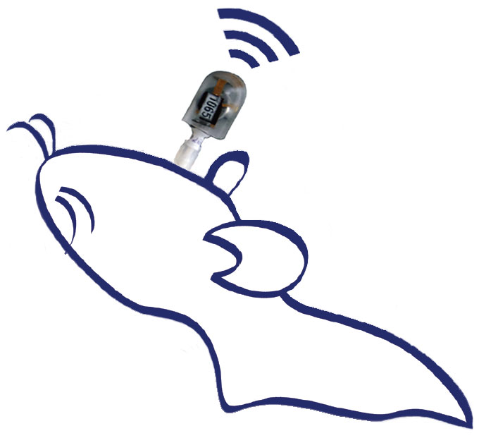 reusable in vivo telemetry sensor