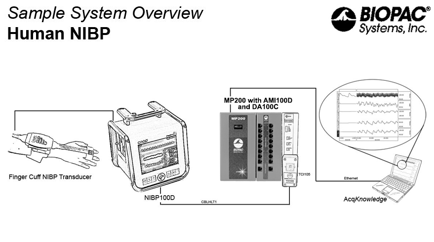 Sample setup Sensor to NIBP100D to MP200+AMI100D to DA100C+TCI105 and AcqKnowledge software