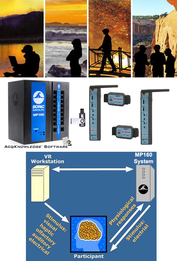 VizMove Interactive Virtual Reality Systems with MP System
