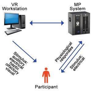 VizMove Interactive Virtual Reality Systems with Biofeedback