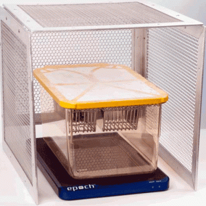 wireless EEG ECG telemetry for rodents